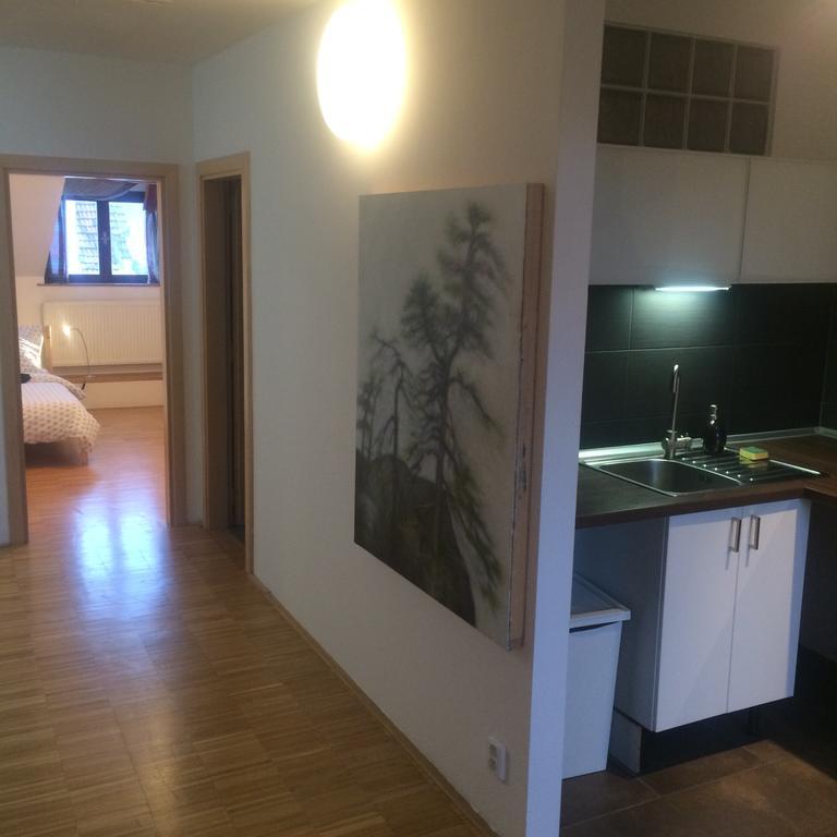 Apartman Slovinska 28 Brno Exterior photo